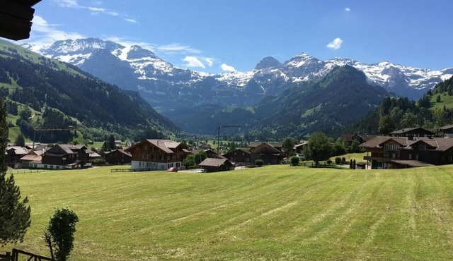 Apartment "Chalet Steinbock"