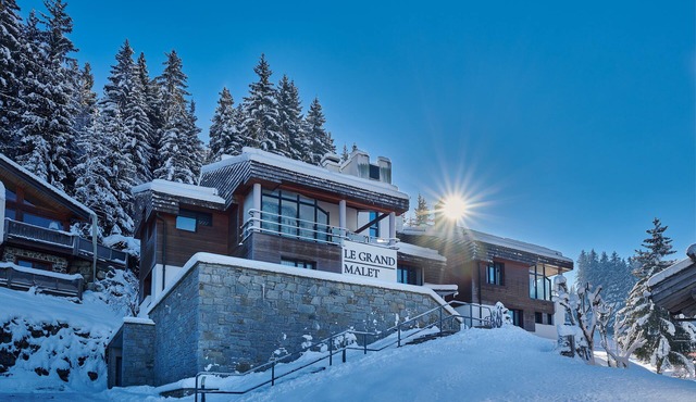 Apartment chalet at the foot of the slopes in the mountains - ski in/off