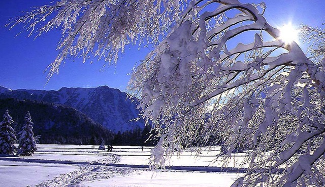 Apartment Chamrousse, 2 bedrooms, 6 persons