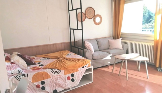 Apartment Cosy annemasse