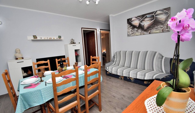 Apartment Darko (98101-A1) - Icici