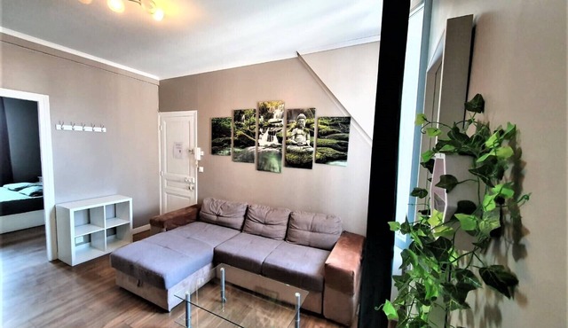 Apartment designed by architect. Close to the train station and center of Reims