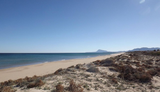 Apartment Duna 1 for 4 people directly on the sandy beach