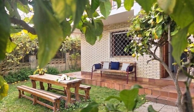 Apartment El Hayedo 20808