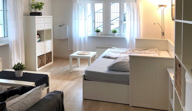 Apartment Erlinsbach