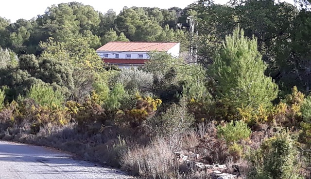 Apartment in the hill