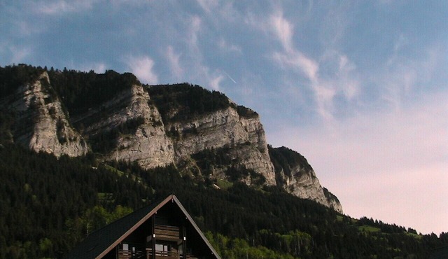 Apartment/flat - Thollon les memises