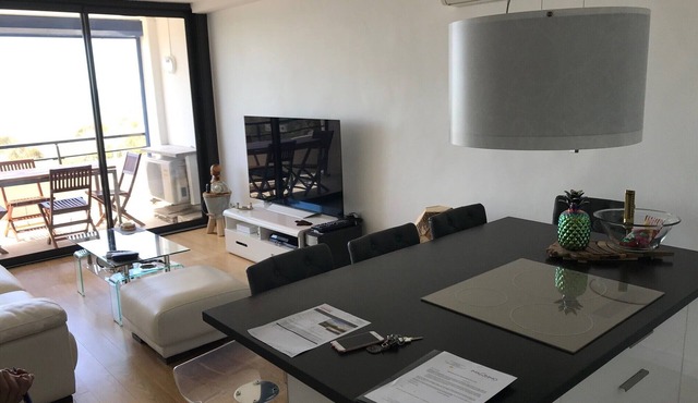APARTMENT FACING THE SEA, 20 metres from the beach