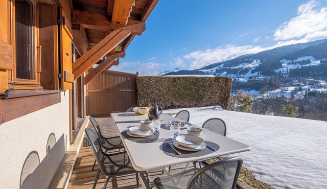 Apartment facing Mont Blanc