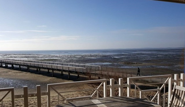 Apartment/flat - Andernos les Bains