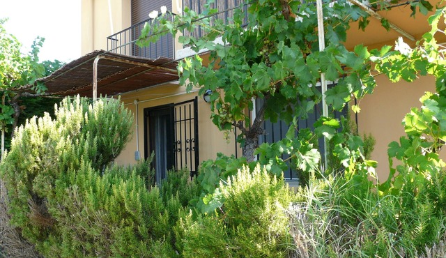 Apartment/flat - Alénya