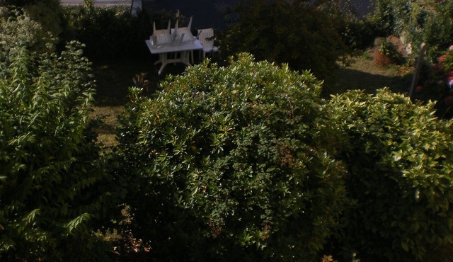 Apartment/flat - Douarnenez