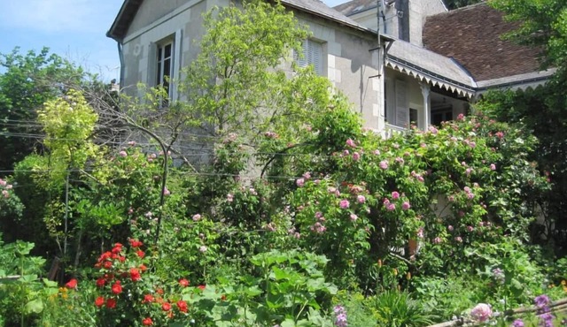 Apartment/flat - Loches