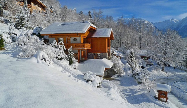 apartment/flat - Passy