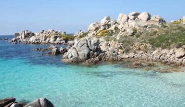 Apartment/flat - Sartène