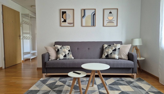 Apartment for 3, close to Zürich and Luzern, free private parking