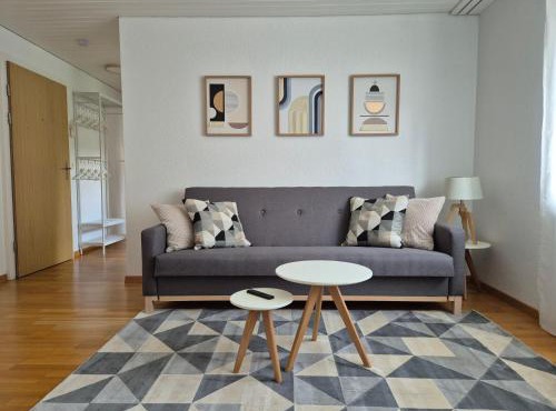 Apartment for 3, close to Zurich and Luzern, free private parking