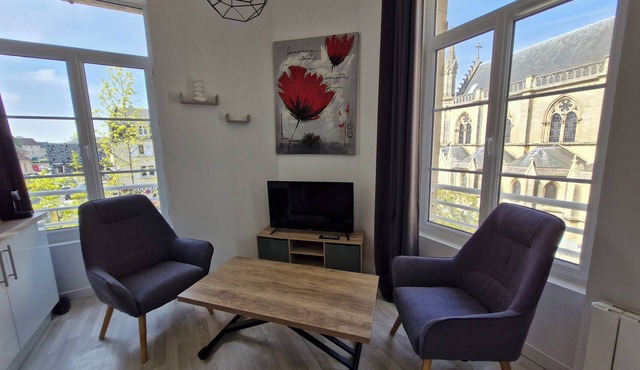 Apartment Basilique VII city center view