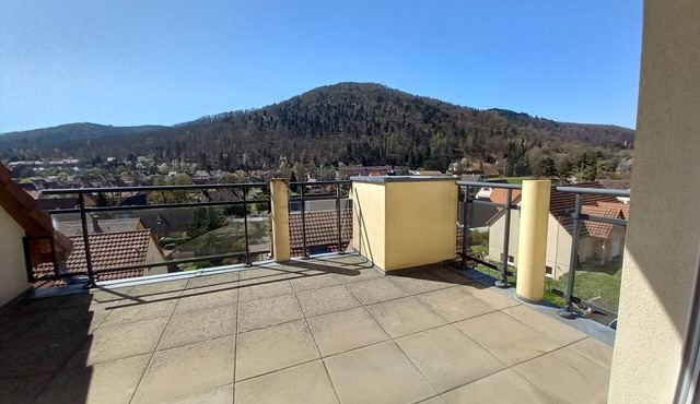 Apartment 130 m² - Panoramic view of the Vosges foothills and medieval KB