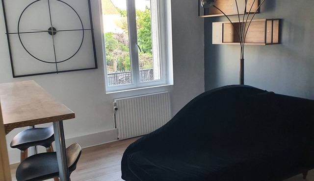 APARTMENT NEAR THE MARNE