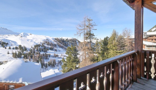Apartment 'Chalet 14' with Mountain View and Balcony