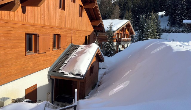 Apartment rental in chalet La Plagne
