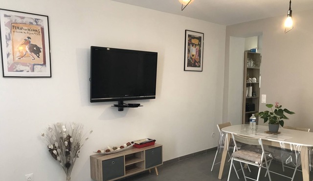 Apartment full downtown NIMES