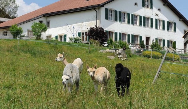 Apartment Gîte - Ferme O'Clés in Les Breuleux - 4 persons, 1 bedrooms