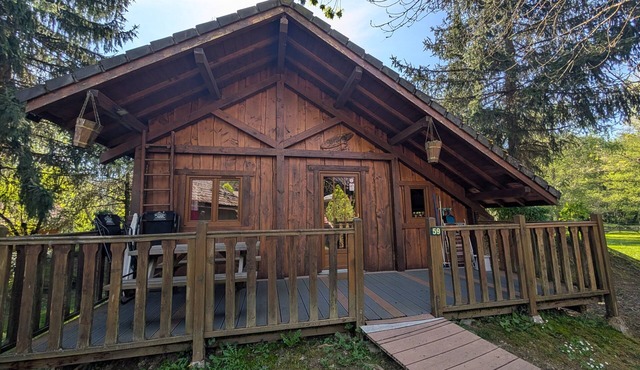 Apartment "Gentiane" with mountain view, Wi-Fi and air conditioning
