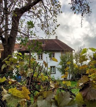 Apartment Giselas Ruheplatz by Interhome