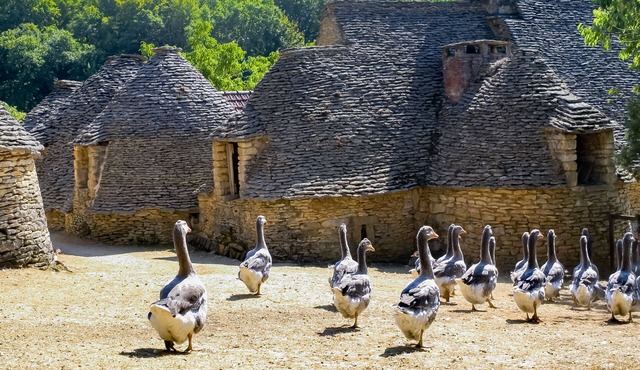 Apartment 'Gite Castelnaud' with Private Terrace, Private Garden and Wi-Fi