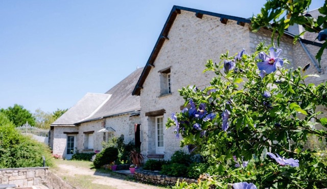 Apartment 'Gîte Du Moulin Béchereau' with Private Terrace, Shared Garden and Wi-Fi