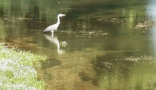 Apartment 'Grand Appartement Plein Centre' with Private Terrace, Wi-Fi and Air Conditioning