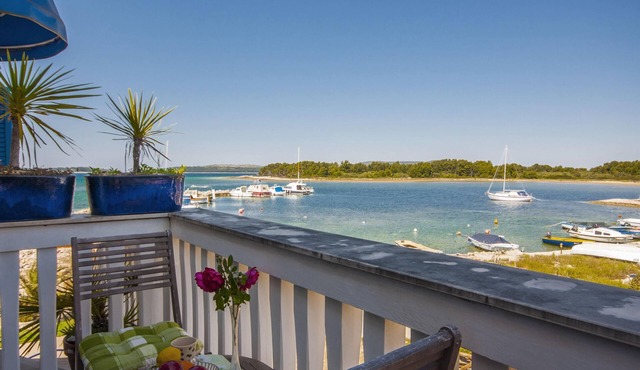 Apartment Grivicic A2 with Sea View on island Krapanj