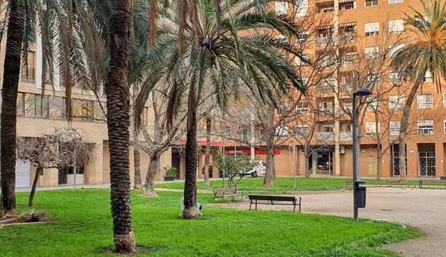 Apartment - Ground floor VTV A3