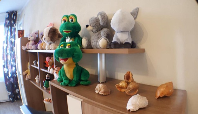 Apartment Guest house on Veterans