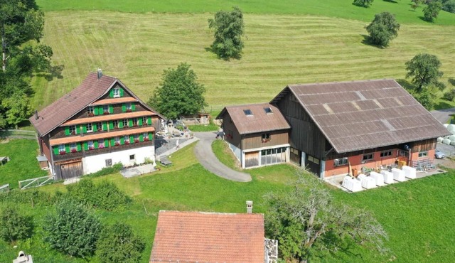 Apartment "Henggeler" with lake and mountain view