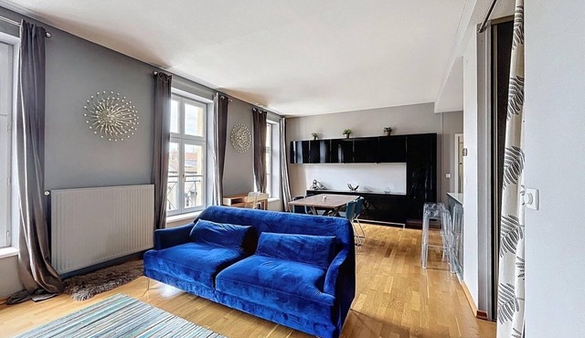 Apartment, high standard, view of the Cathedral and Temple Neuf, with parking lot