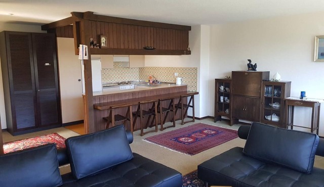 Apartment house in the ski area