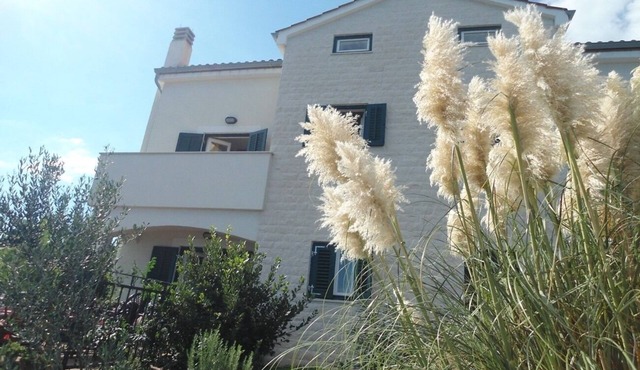 Apartment Azur - 10 m from sea: SA2(2+1) - Ilovik (Island Ilovik), Island Losinj, Croatia