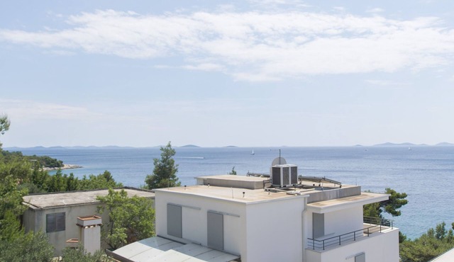 Apartment Branka (55391-A1) - Murter - island Murter