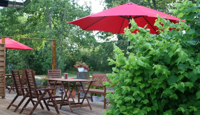 Apartment I between Bordeaux and the Atlantic "Mirabelle"