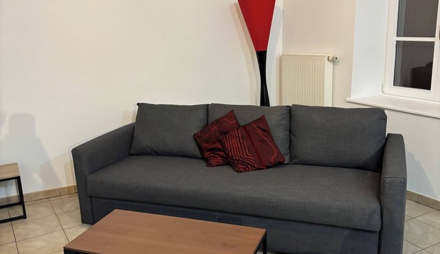 Apartment ideally located for a discovery of our beautiful Alsace