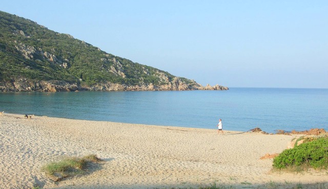 Apartment ideally located facing the sea, on the beach of Tizzano in Southern Corsica