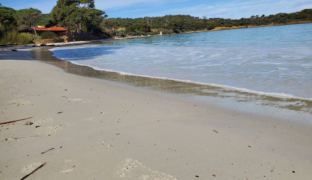 Apartment - ILE DE PORQUEROLLES