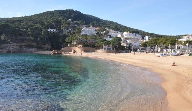 Apartment in a beautiful cove in Costa Brava (Tamariu)