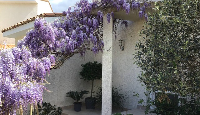 Apartment in a haven of peace 10 mm from the Mediterranean Sea.