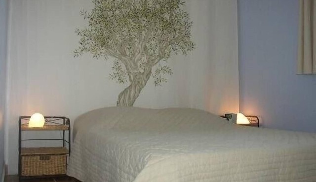 Apartment in a Provencal house in the heart of the vineyards