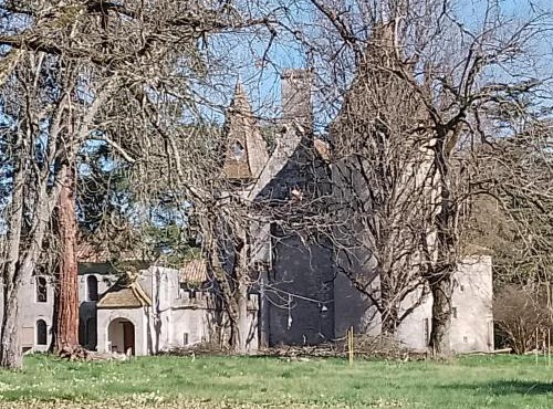Apartment in a Renaissance castle