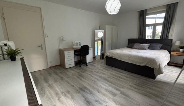Apartment in a villa in Erstfeld